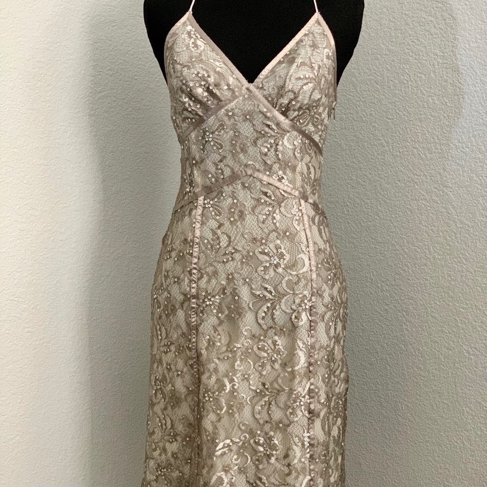 Express Sequin Lace Fancy Dress